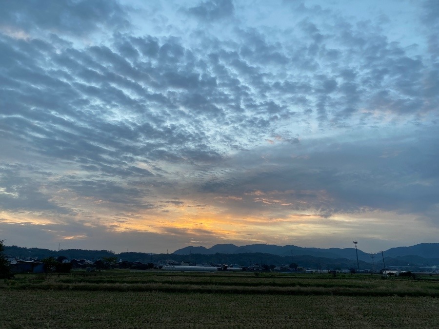 今朝の空　11/17