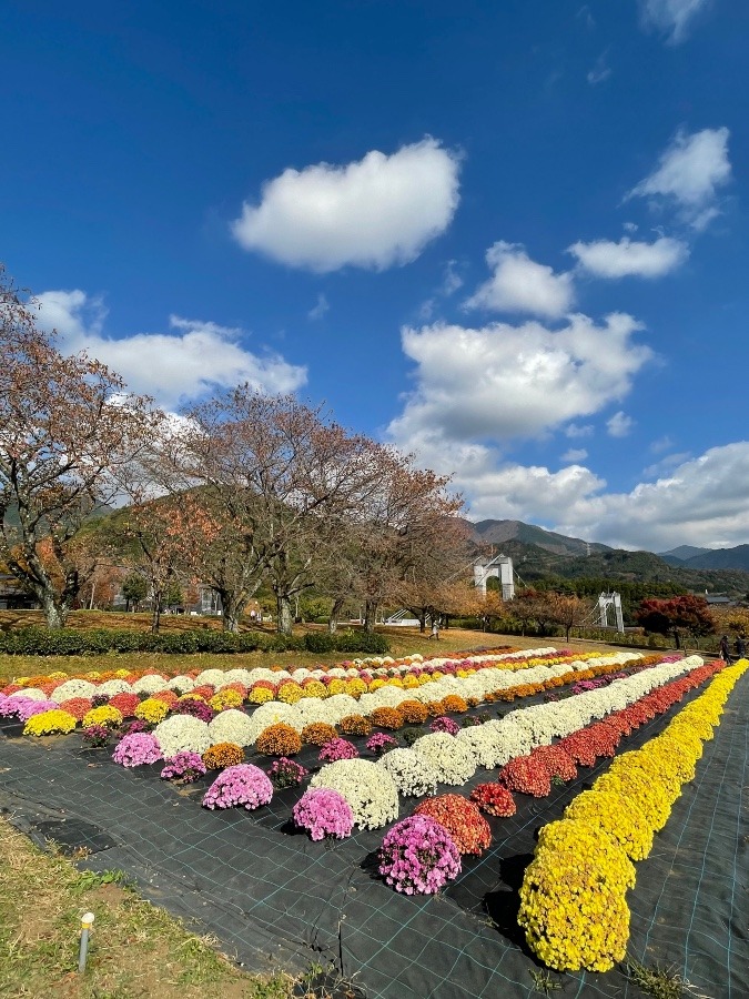 県立　秦野戸川公園