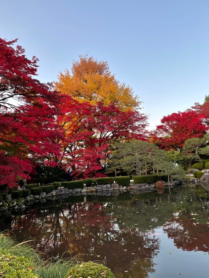 もみじ公園  2