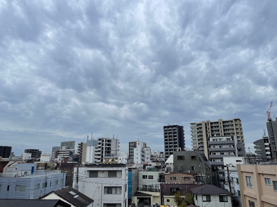 11月1日　今空☁️