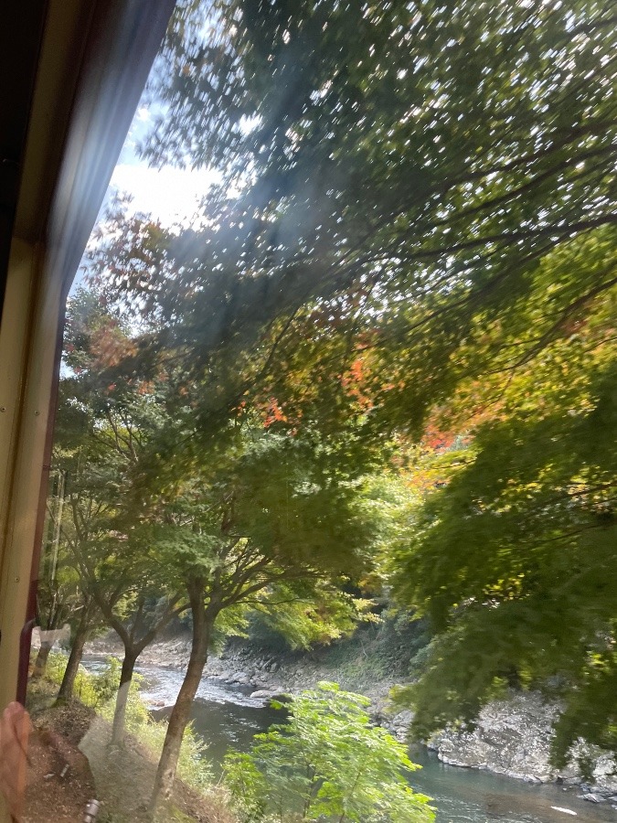 嵯峨野トロッコ列車からの車窓①