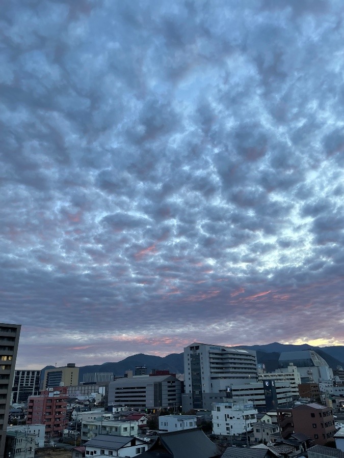 今朝の空  1