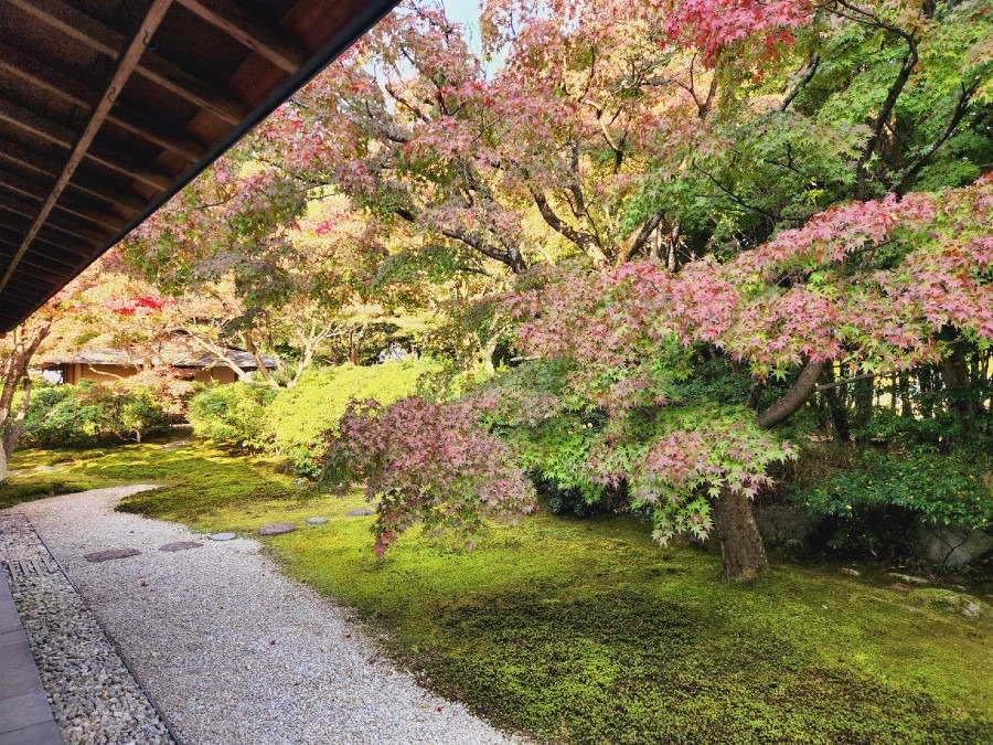 【豊田市】豊田市美術館 童子苑