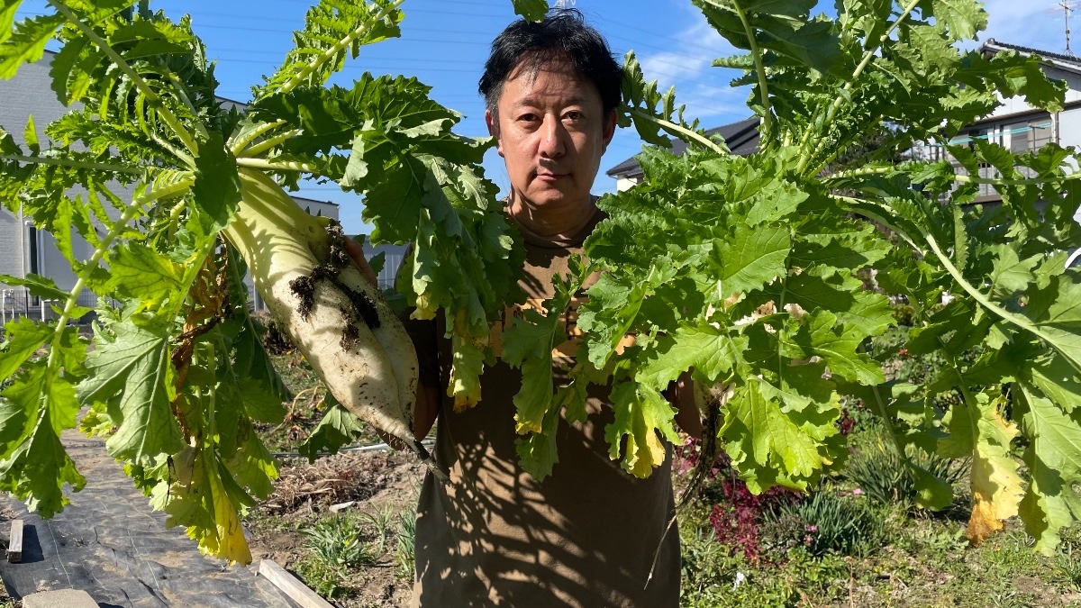 三本足の大根ゲット