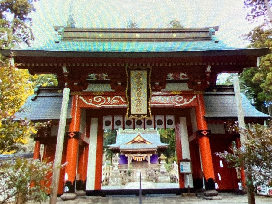 宇奈岐日女神社(うなぎひめじんじゃ)①