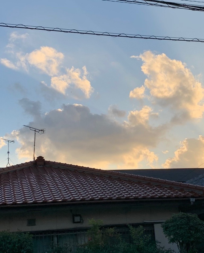 たいやき雲　🌥🐟❗️