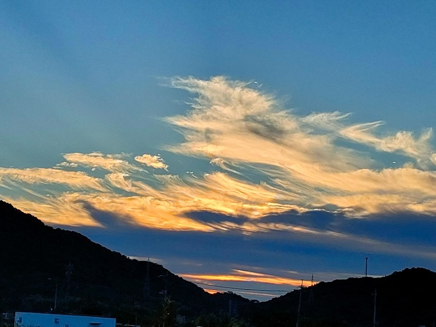 11/2　朝空