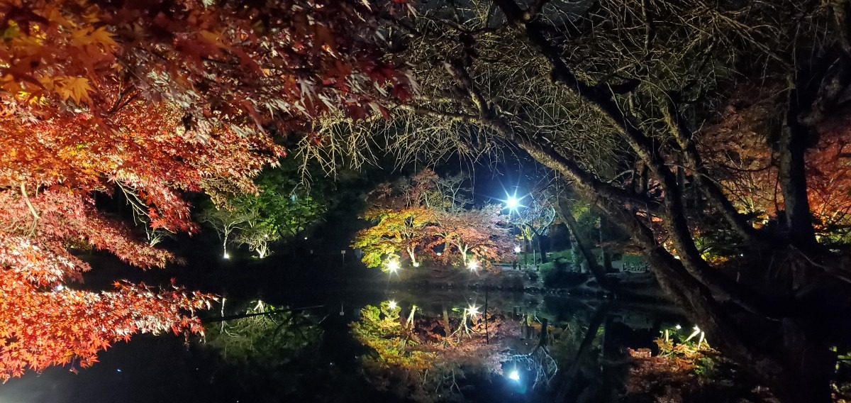 🍁紅葉まつり　11/1～11/30🍁