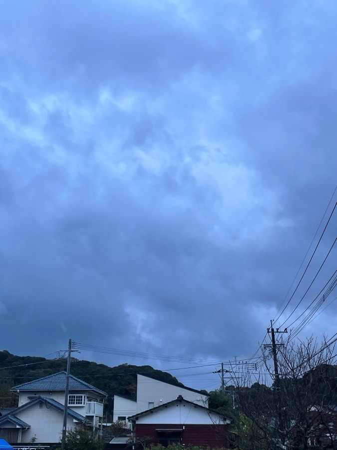 小雨の中