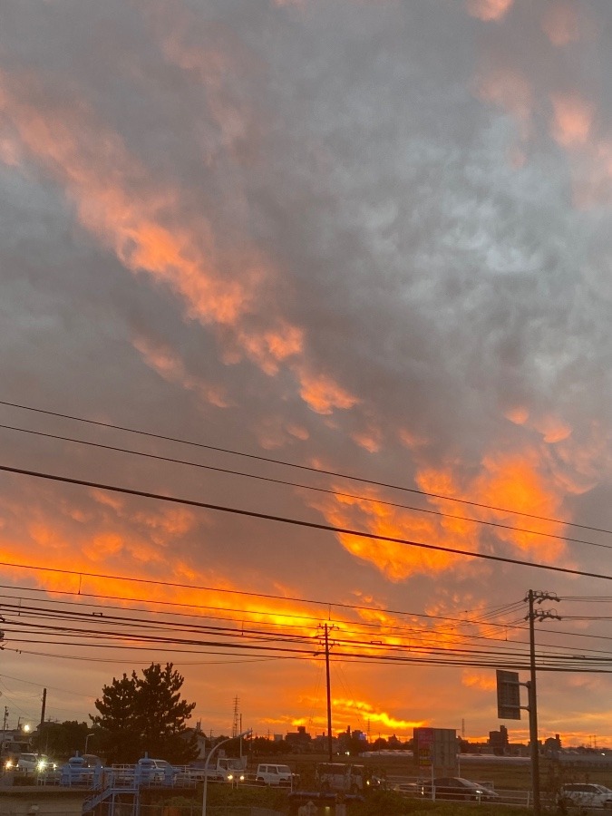 今日の夕焼け✨