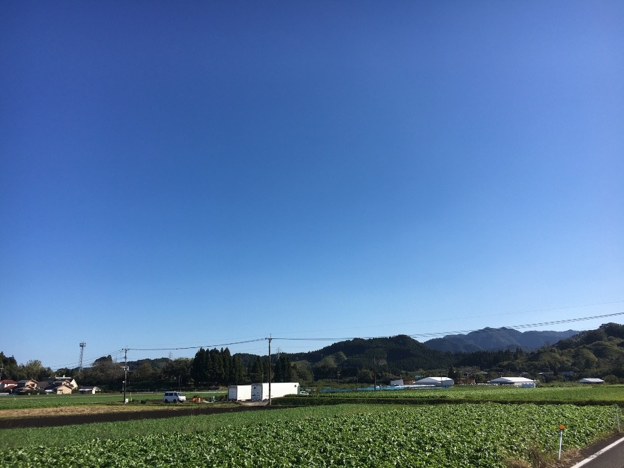 ⭕️空部→   いま空（≧∇≦）‼️261.