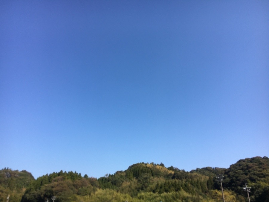 ⭕️空部→   いま空😊‼️236.