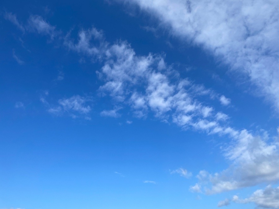 朝の空　9時半