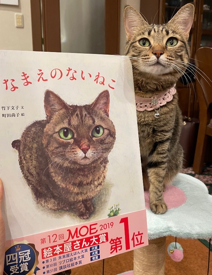 📚『なまえのないねこ』🐈