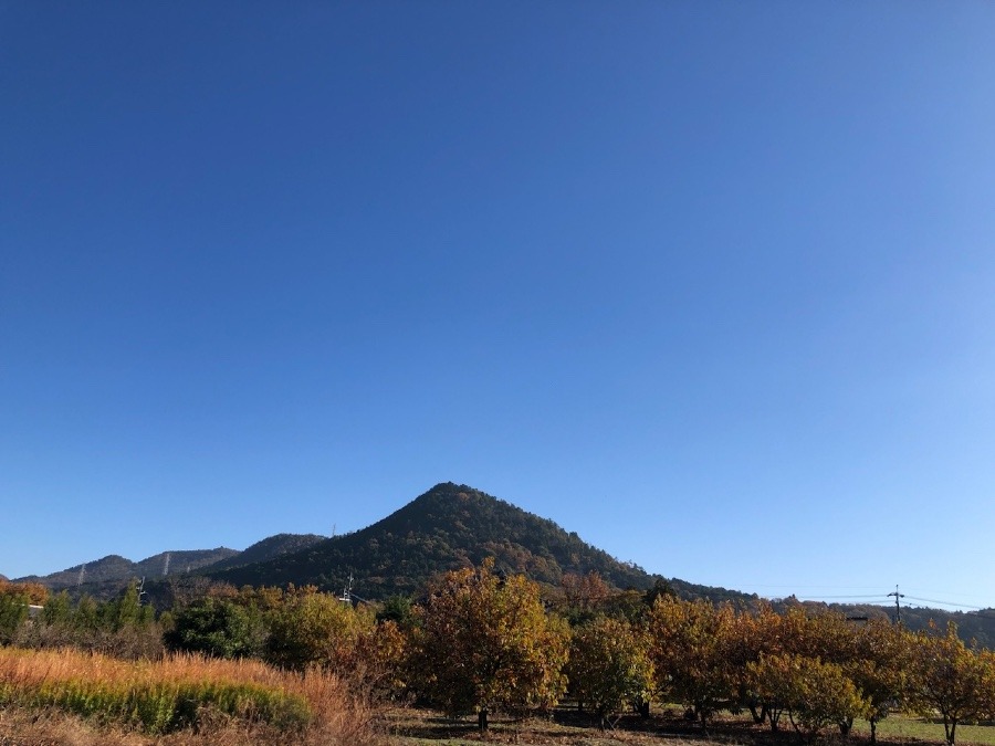 ⛰🍁今日の風景