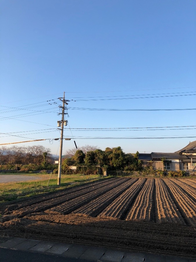 空と田んぼ