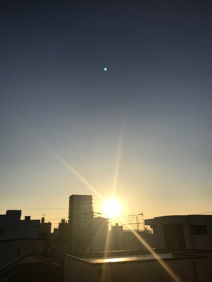 今日の朝陽☀️✨