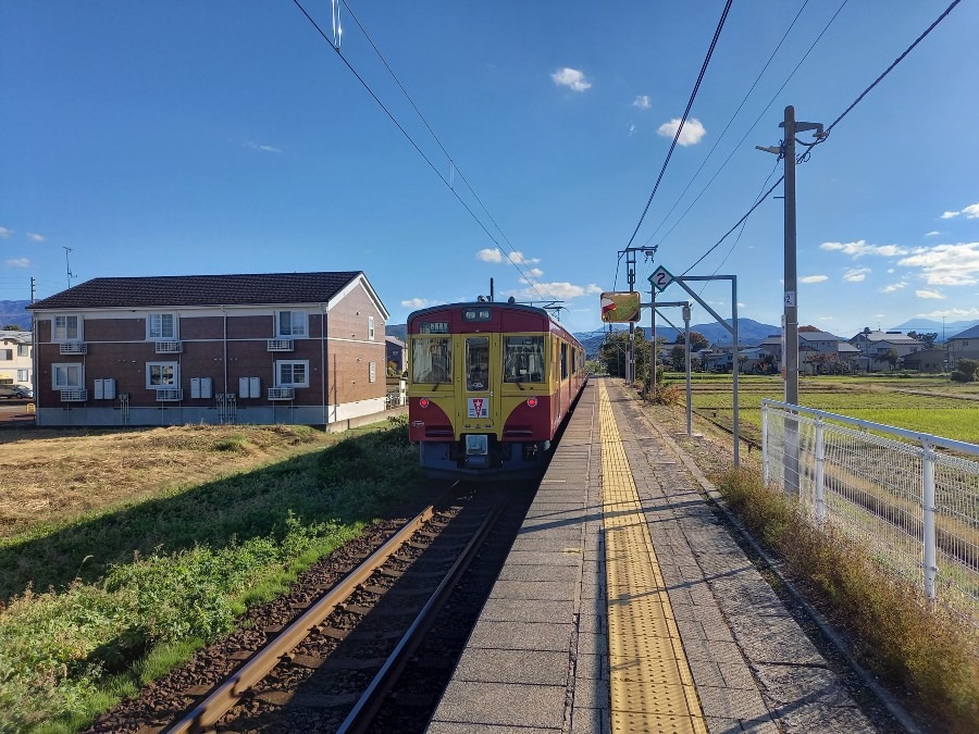 ぶら散歩　おしまい(*^^*)