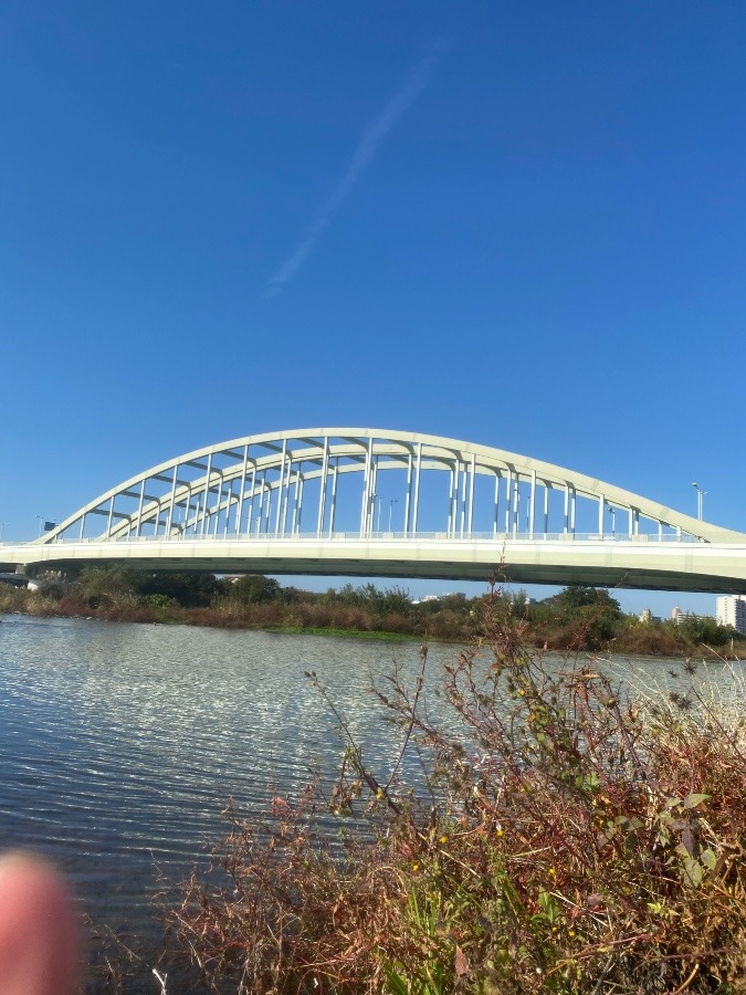 多摩川風景