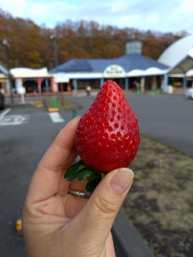 おかえり❤