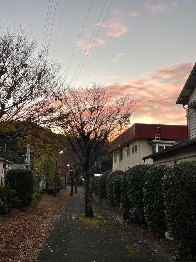 遊歩道