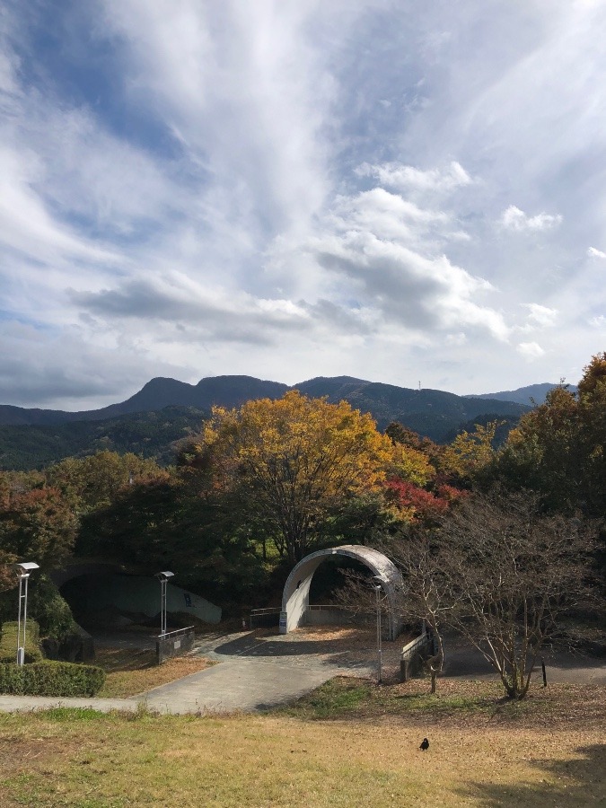 駿河湾沼津サービスエリア