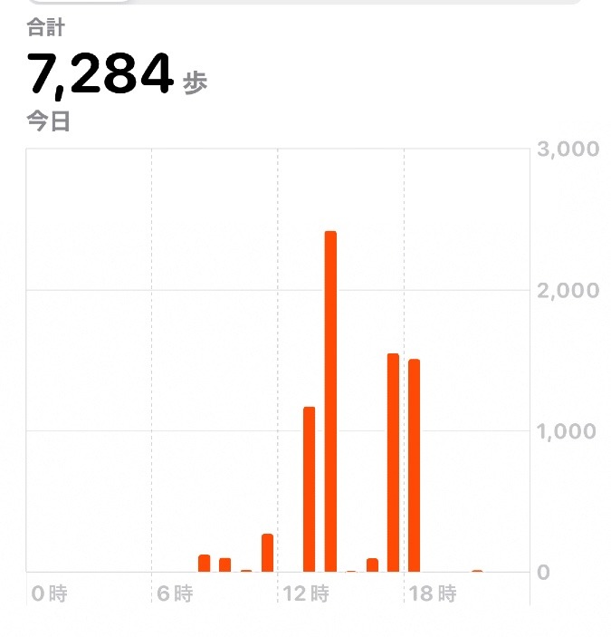 7284歩　ウォーキング11/19