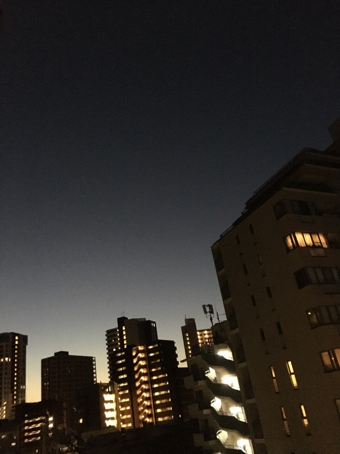 11/8朝空