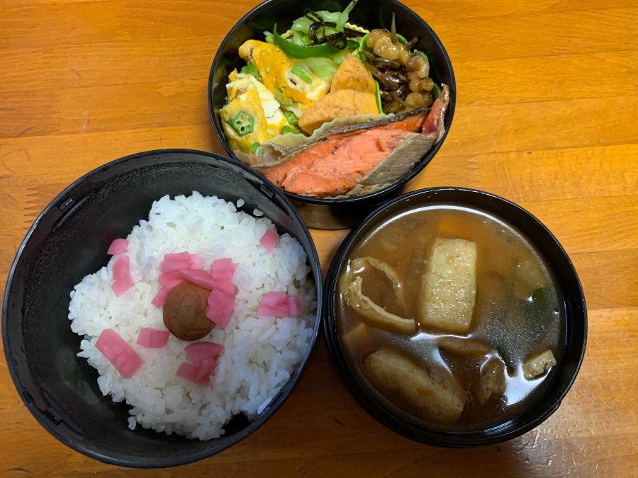 今日のお弁当