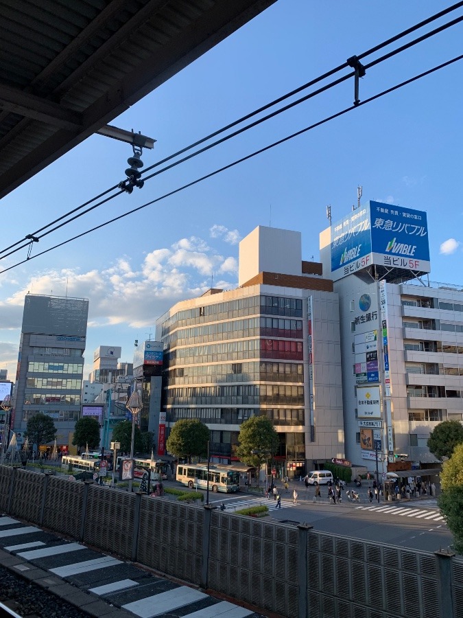 今の東京・吉祥寺の空