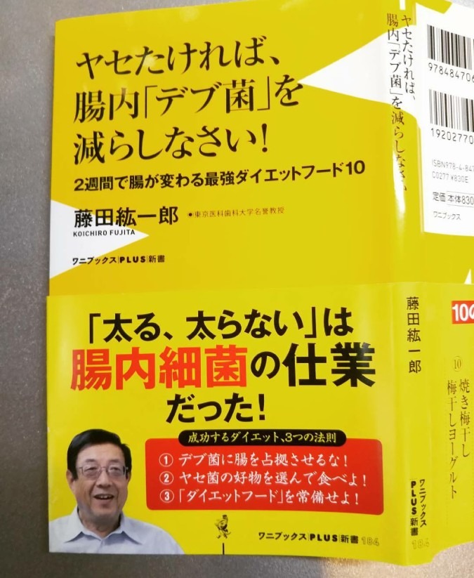 腸内デブ菌てあるんです