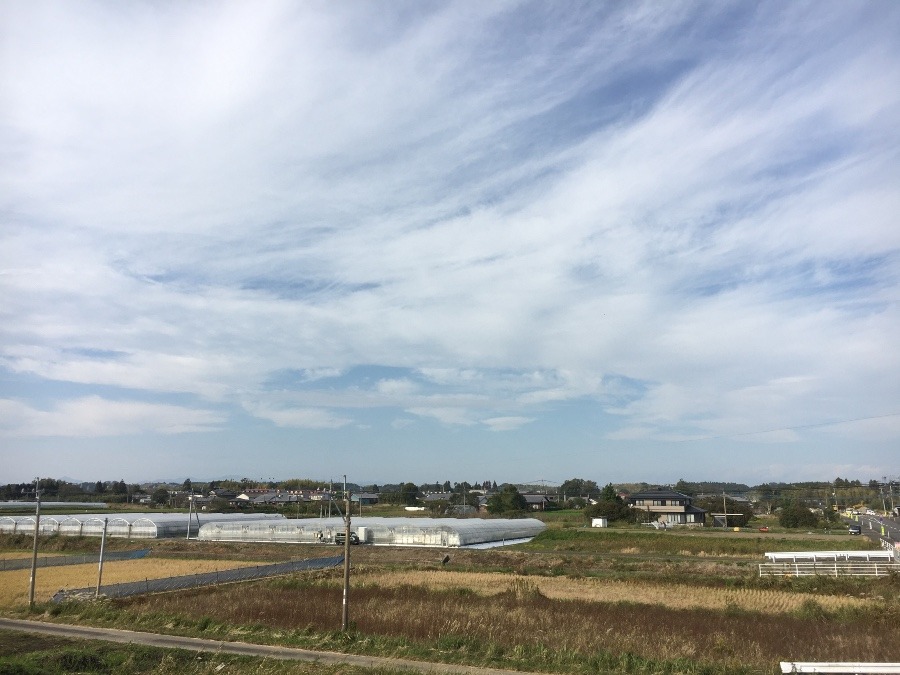 ⭕️空部→   いま空（≧∇≦）‼️258.