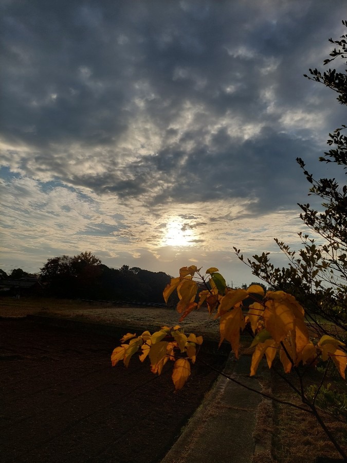 11/26朝空