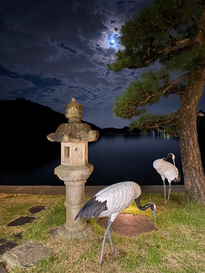 湖畔から見た夜月