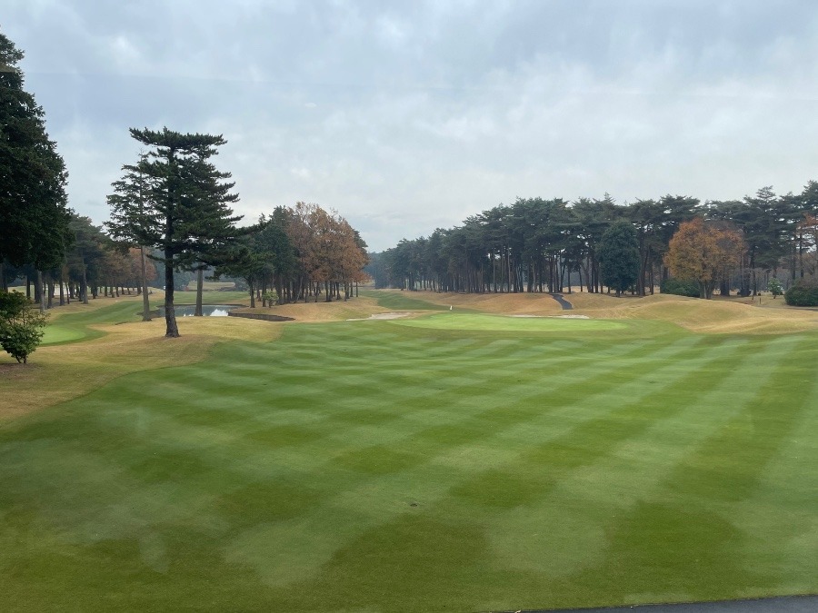 茨城県　ザ竜ヶ崎⛳️