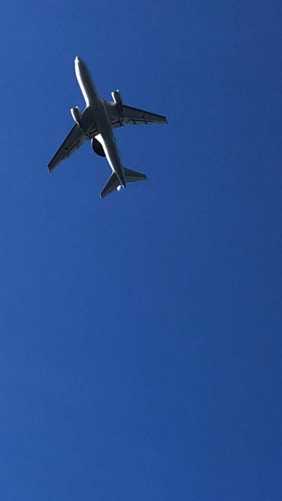 アッ❗️  飛行機だ！