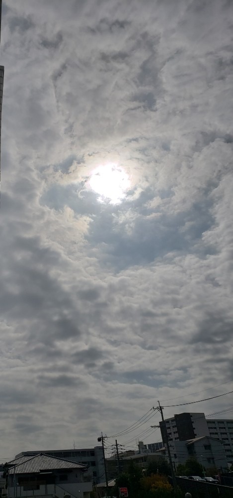 今日の空－11月4日