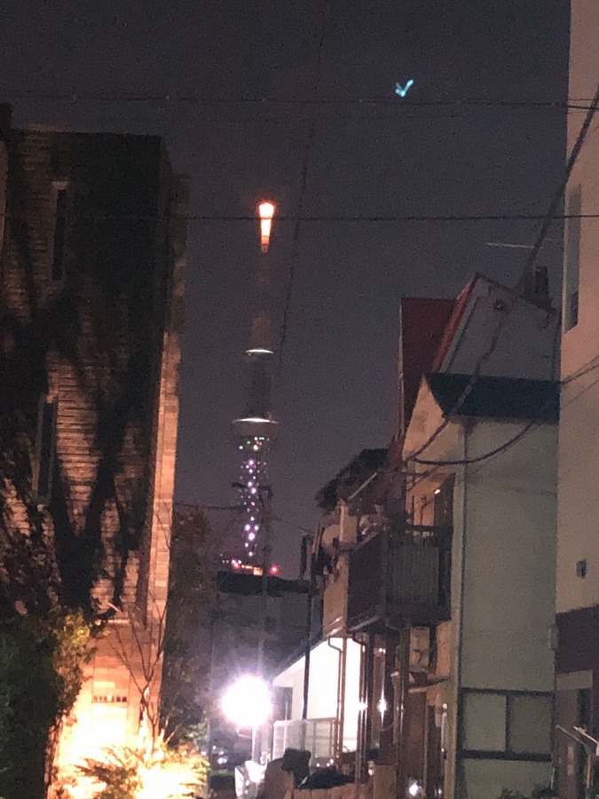 おはようございます