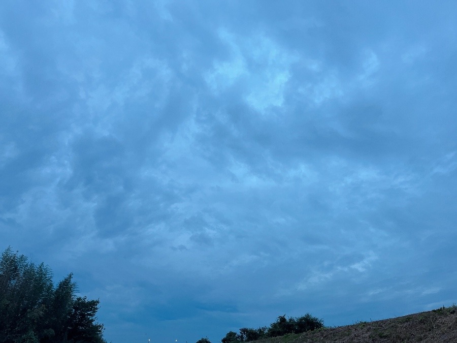 【朝の空】