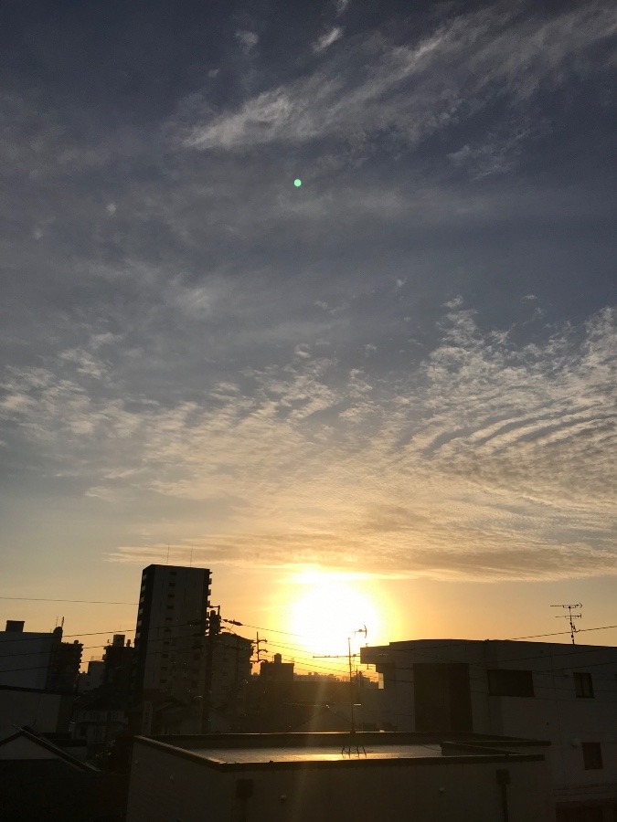 11/21の朝陽☀️✨