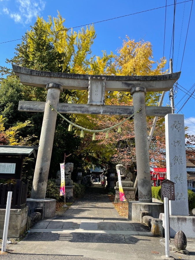 わたしも神社へ⛩