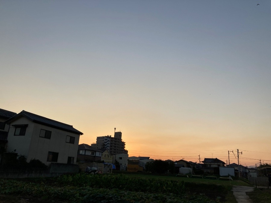 昨日の夕陽