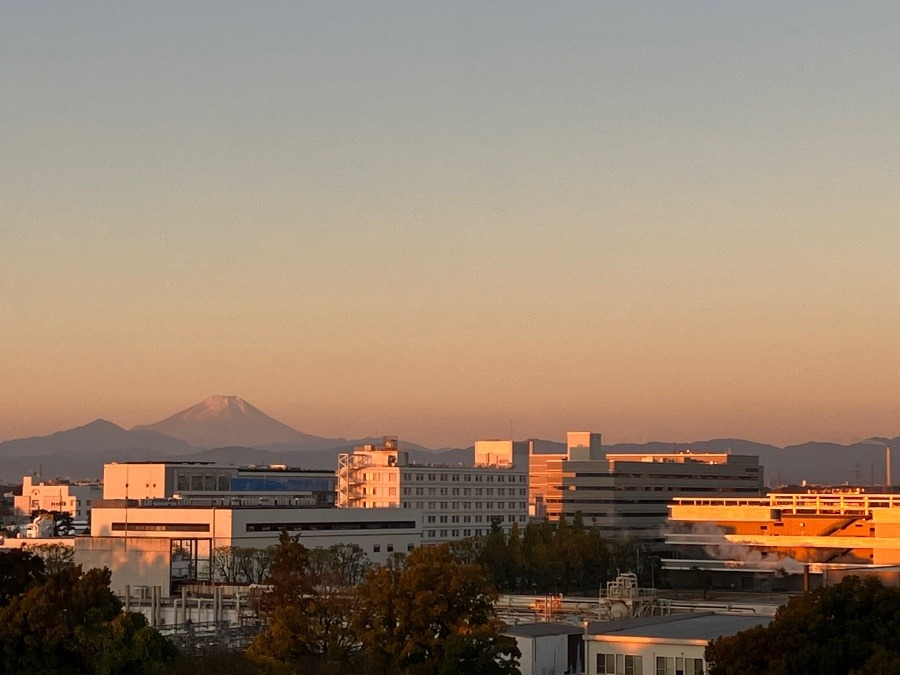 今朝の富士山