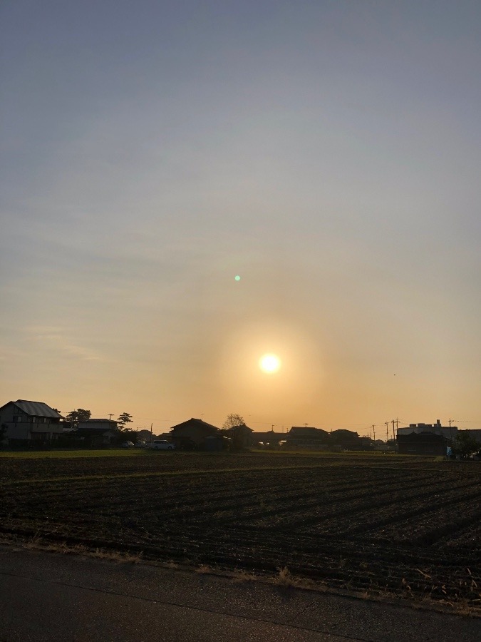 今日の朝陽