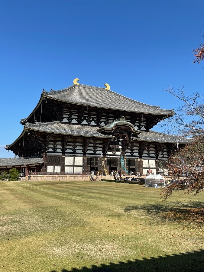 世界遺産東大寺です*ˊᵕˋ*