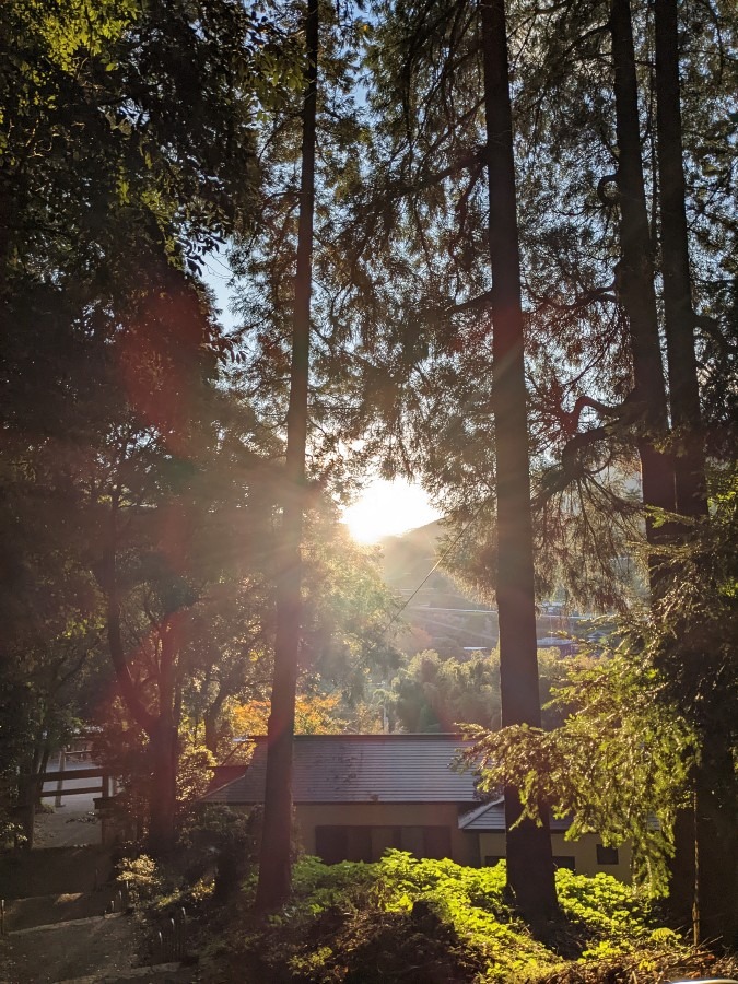 高千穂峡の神社　天岩戸東本宮