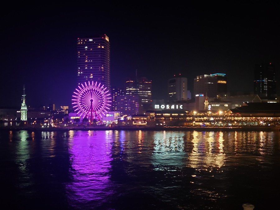 メリケンパークからの夜景鑑賞