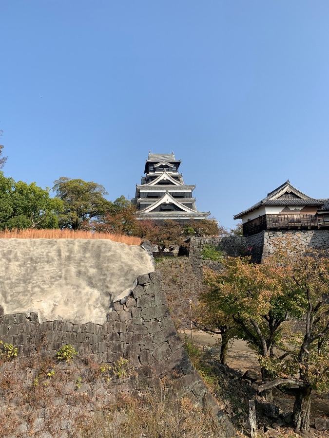 ⓵ 熊本城の再建🏯