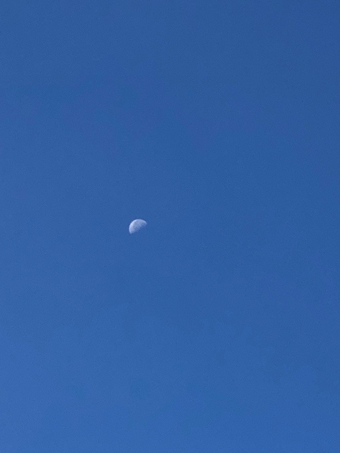 8時45分　月だー