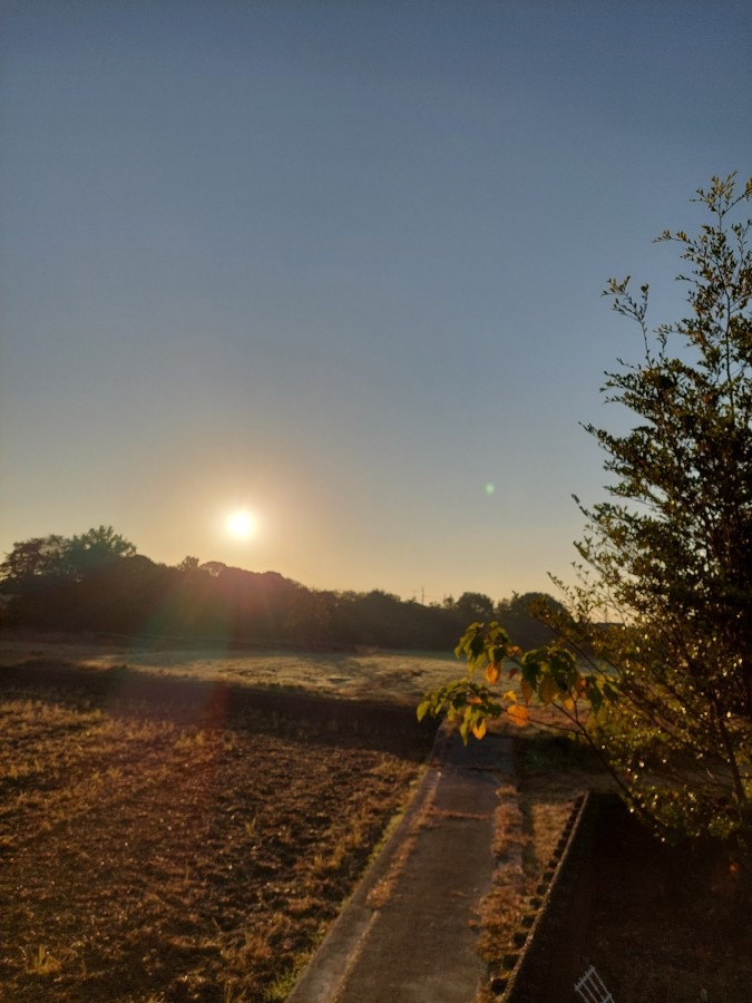 11/18朝空